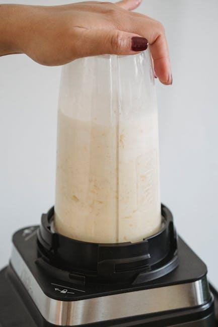 Best Hand Blender – Omega Ultra Smoothie Review