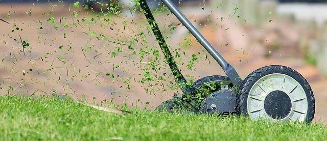 When Is the Best Time to Dethatch Your Lawn for a Healthy, Green Yard